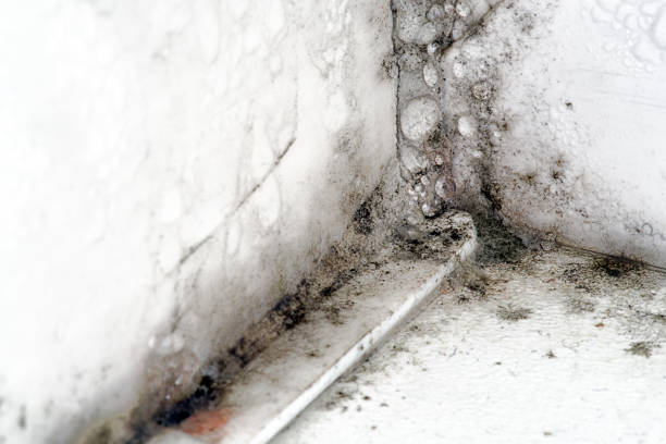 istockphoto-833155426-612x612